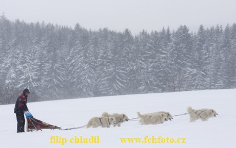 Tri studne zima 2009 - 0979.jpg